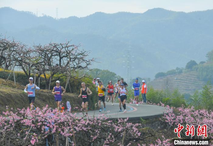 台湾跑团“跑”进浪漫桃花源，携手奉化开启2